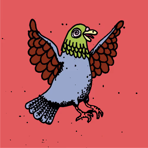 Hood Pigeon #2408