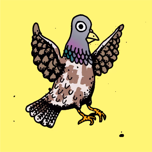 Hood Pigeon #2829
