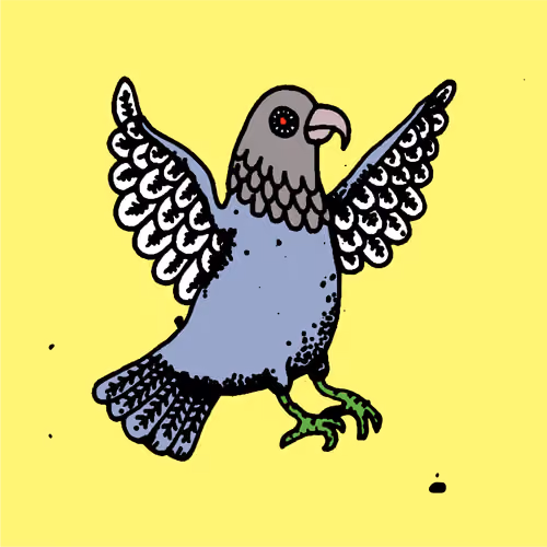 Hood Pigeon #1536