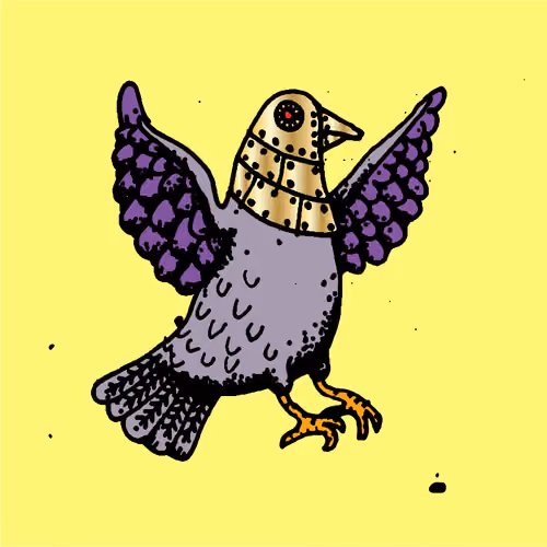 Hood Pigeon #2511