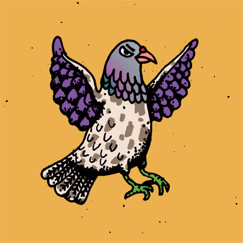 Hood Pigeon #910