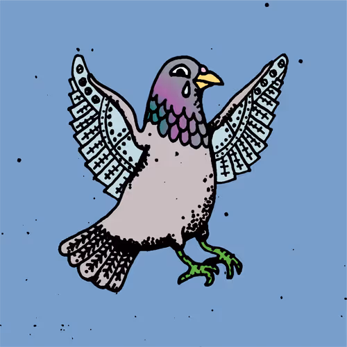 Hood Pigeon #1618