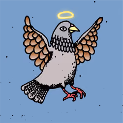 Hood Pigeon #2065