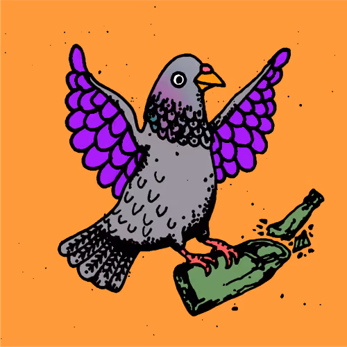 Hood Pigeon #182