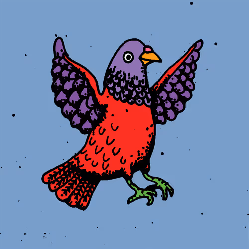 Hood Pigeon #338