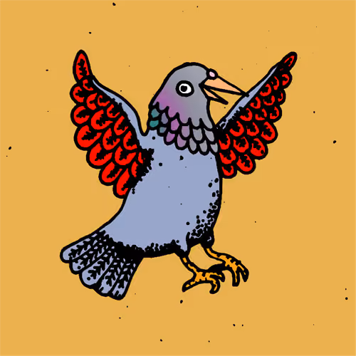 Hood Pigeon #2581