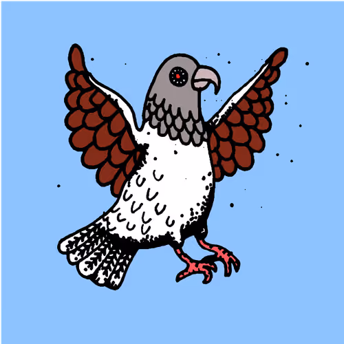Hood Pigeon #1658
