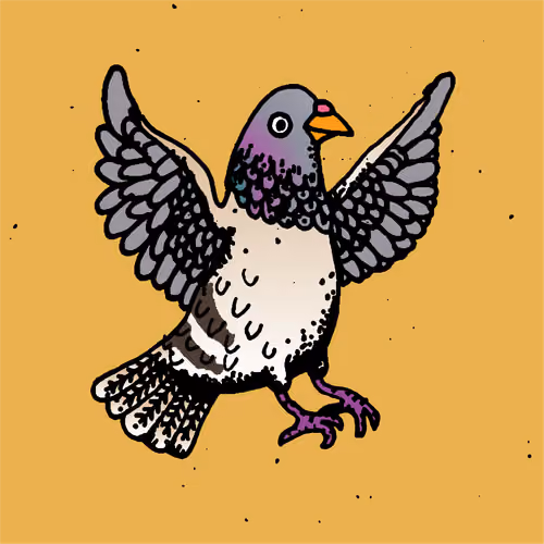 Hood Pigeon #867