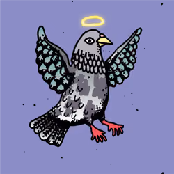 Hood Pigeon #920