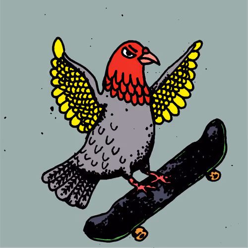 Hood Pigeon #1538