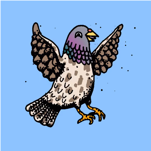 Hood Pigeon #2692