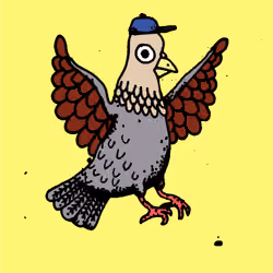 Hood Pigeon #931