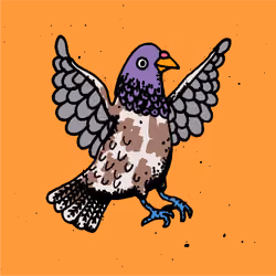Hood Pigeon #2675