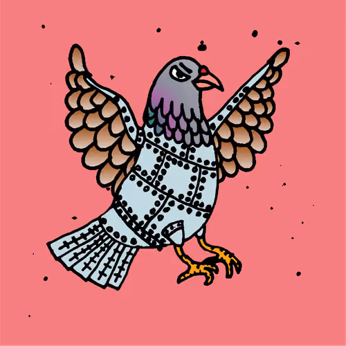 Hood Pigeon #2245