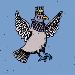 Hood Pigeon #142