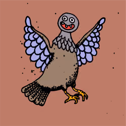 Hood Pigeon #2206