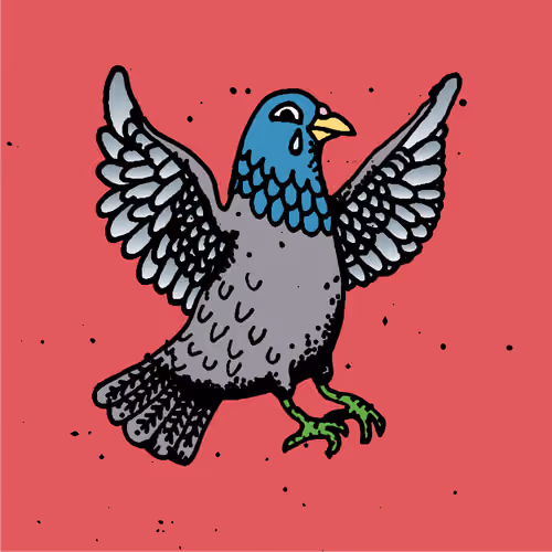 Hood Pigeon #2305