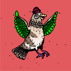 Hood Pigeon #984