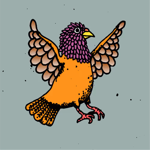 Hood Pigeon #2097
