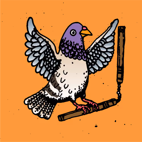 Hood Pigeon #2462
