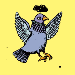 Hood Pigeon #127