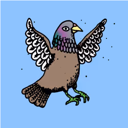 Hood Pigeon #1081