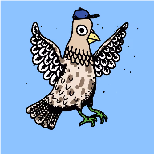 Hood Pigeon #456