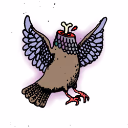 Hood Pigeon #1919