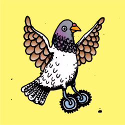 Hood Pigeon #1086