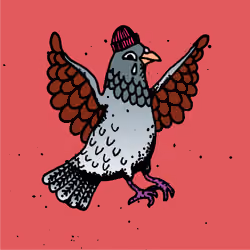 Hood Pigeon #671