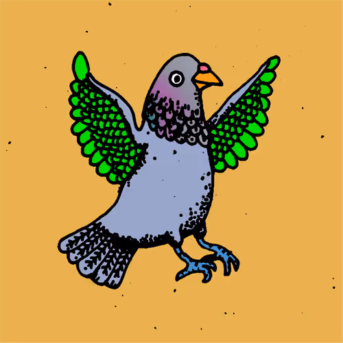 Hood Pigeon #2159
