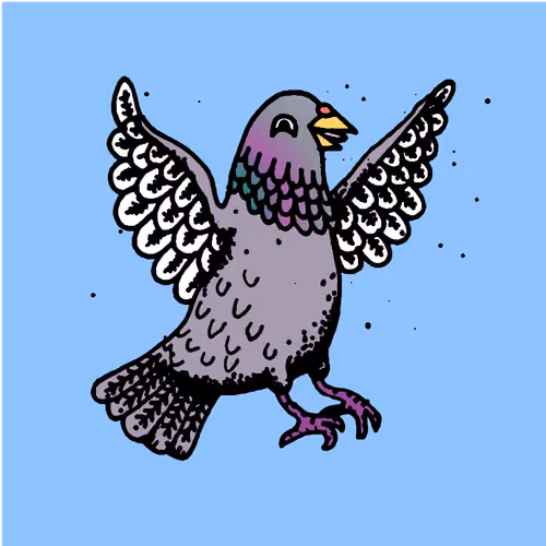 Hood Pigeon #1782