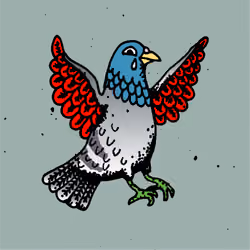Hood Pigeon #1338
