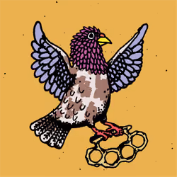 Hood Pigeon #2397