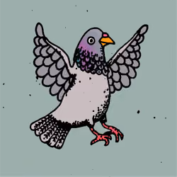 Hood Pigeon #2082