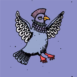 Hood Pigeon #2483