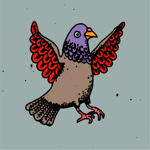 Hood Pigeon #423