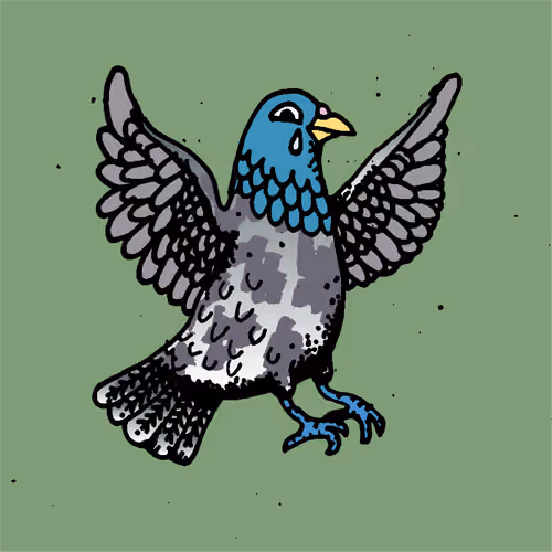 Hood Pigeon #1646