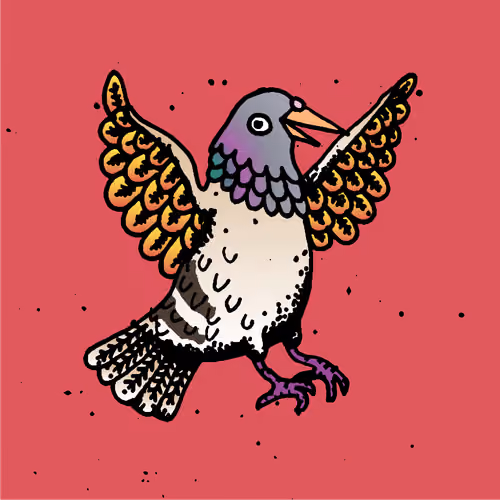 Hood Pigeon #1753