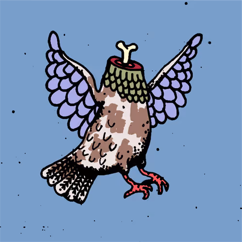 Hood Pigeon #379