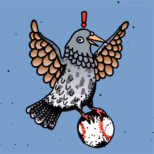 Hood Pigeon #78
