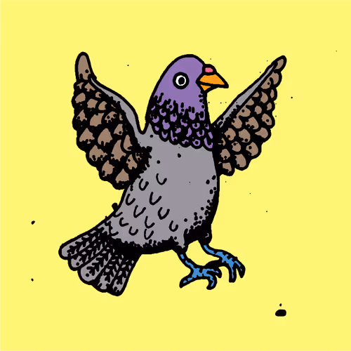 Hood Pigeon #905