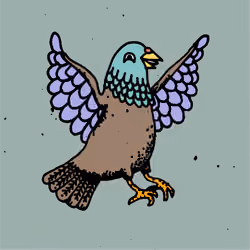 Hood Pigeon #1501