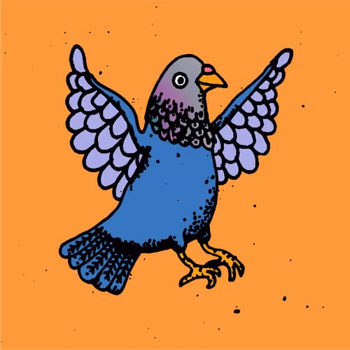 Hood Pigeon #2800