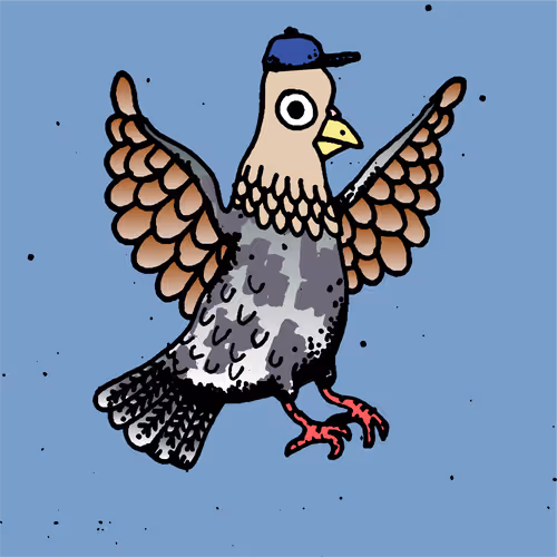 Hood Pigeon #1326