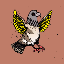 Hood Pigeon #628