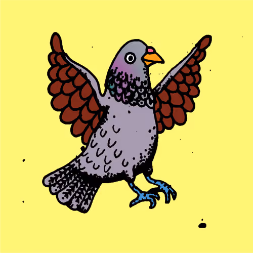 Hood Pigeon #900