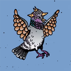 Hood Pigeon #2204
