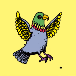 Hood Pigeon #779