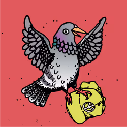 Hood Pigeon #573